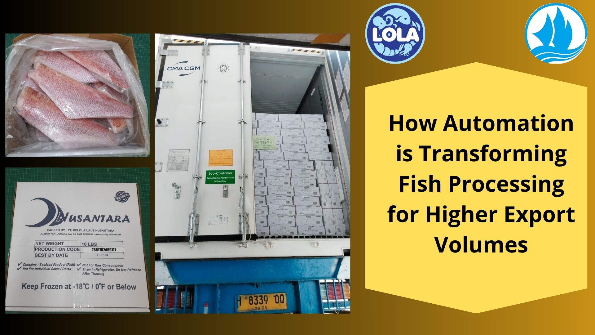  How Automation is Transforming Fish Processing for Higher Export Volumes